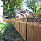 I built a cedar privacy fence in my backyard!