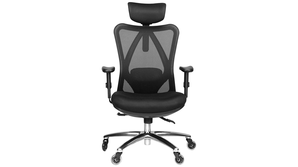 Duramont Ergonomic Adjustable Office Chair with Lumbar Support and Rollerblade Wheels