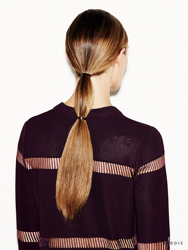 Diy double ponytail