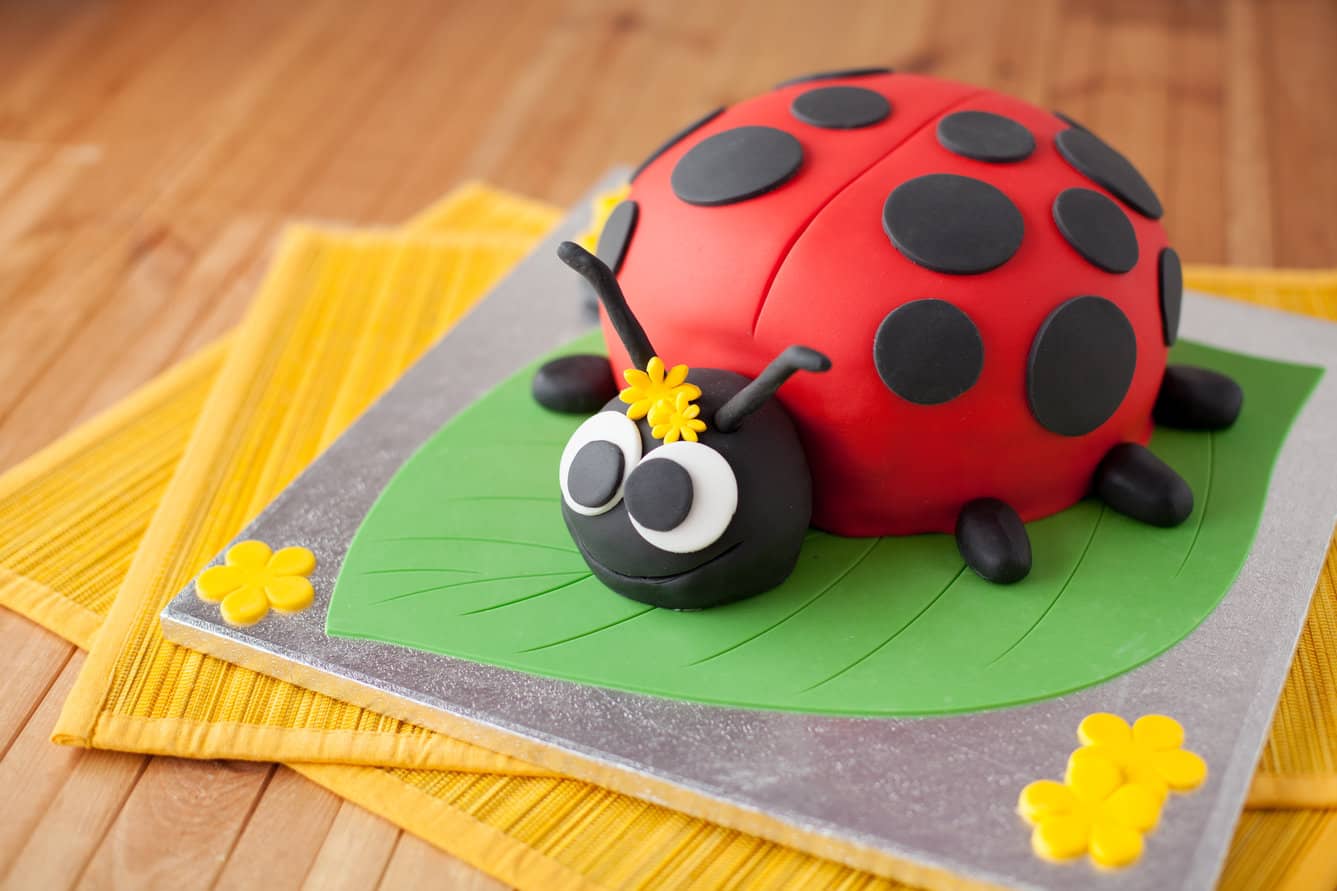 Fondant ladybug cake