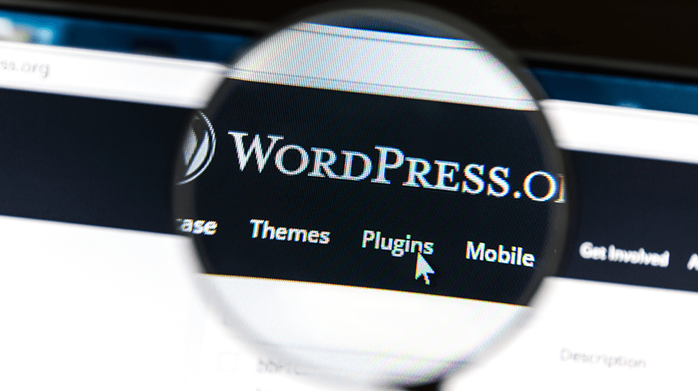 wordPress membership plugin