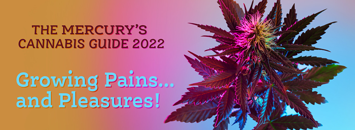 Mercury___s-Cannabis-Guide-2022_1080x471_V2.png