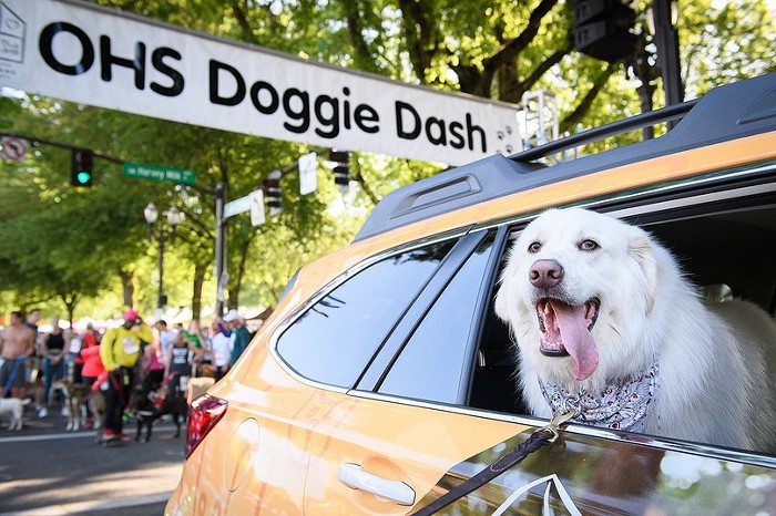 Help raise funds for animals in need at Oregon Humane Societys Doggie Dash!