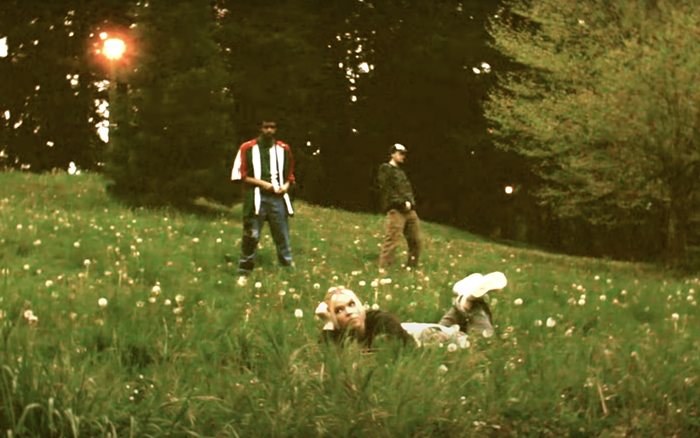 Wynnes latest music / lyric video for Nature Heals shows her laying on a grassy, daffodil-covered hill.