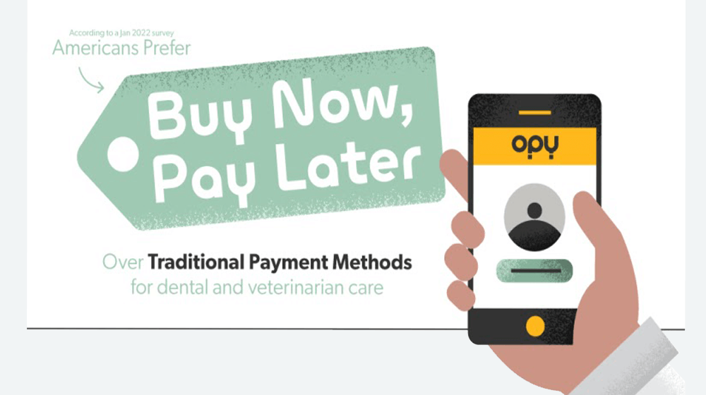 flexible payment options for consumers 