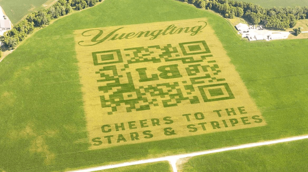 world’s largest qr code grown from crops
